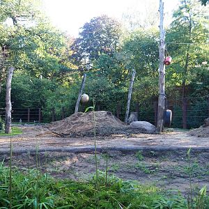 Asian elephant paddock, 2023-09-24