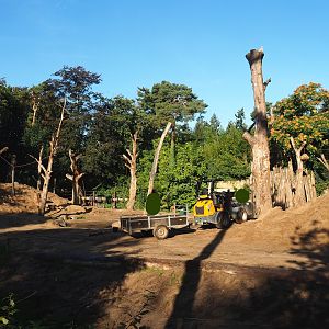 Asian elephant paddock, 2023-09-24
