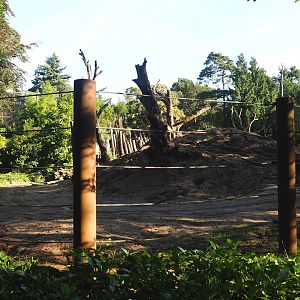 Asian elephant paddock, 2023-09-24
