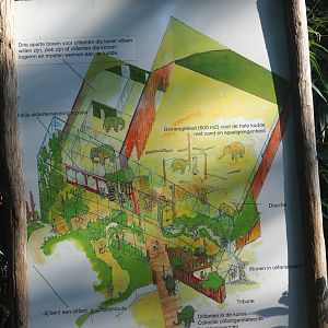 Map of Asian elephant house, 2023-09-24