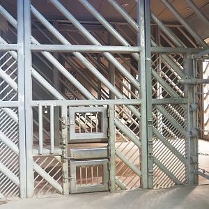 Asian elephant care and separation stalls, 2023-09-24