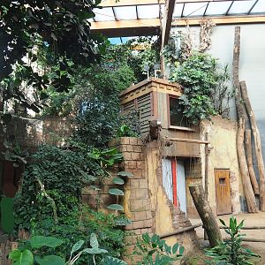 Visitor area in Asian elephant house, 2023-09-24