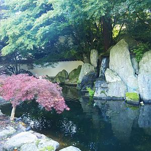 Japanese garden - Koi and Sturgeon pond, 2023-09-24