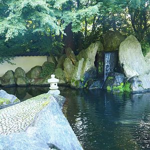 Japanese garden - Koi and Sturgeon pond, 2023-09-24