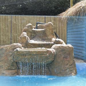 Waterfall Penguin Beach