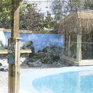 Left side Penguin Beach