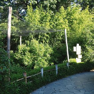 Red-crowned crane exhibit, 2023-09-24