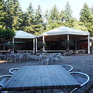 Restaurant, 2023-09-24