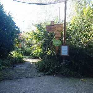 Snavelrijk ('Kingdom of Beaks') aviary - Netting around visitor area because of avian influenza safety, 2023-09-24