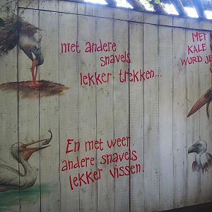 Snavelrijk ('Kingdom of Beaks') educational mural about bird beaks, 2023-09-24