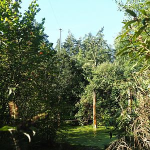 Snavelrijk ('Kingdom of Beaks') aviary, 2023-09-24