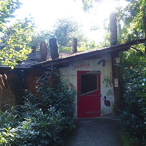 Snavelrijk ('Kingdom of Beaks') aviary viewing hut, 2023-09-24