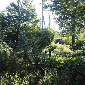 Snavelrijk ('Kingdom of Beaks') aviary, 2023-09-24