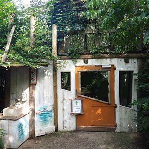 Snavelrijk ('Kingdom of Beaks') aviary - Entrance to larger covered viewing area, 2023-09-24