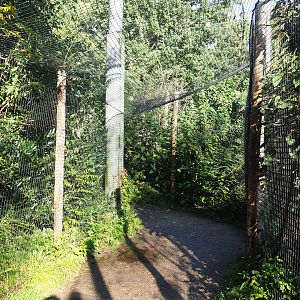 Snavelrijk ('Kingdom of Beaks') aviary - Larger viewing area covered with netting because of avian influenza safety, 2023-09-24