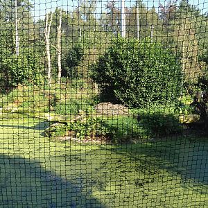 Snavelrijk ('Kingdom of Beaks') aviary, 2023-09-24