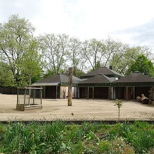 African savannah paddock (blesbok, zebra & guineafowl)