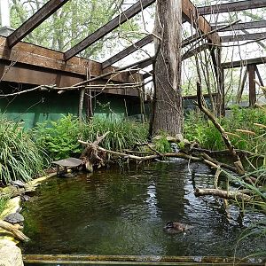 South American walkthrough aviary.