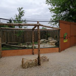 Caracals exhibit