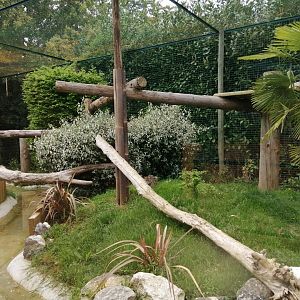 Fishing cats exhibit