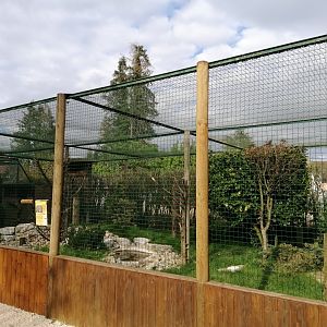 Owl's aviary example (Great Grey owl)