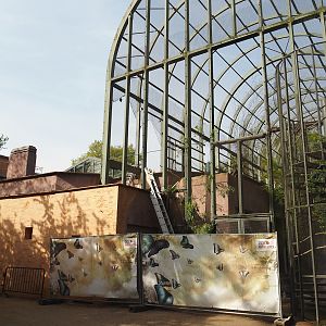 Hippopotamus house renovations, 2024-05-01