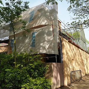 Hippopotamus house renovations, 2024-05-01