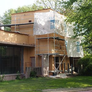 Hippopotamus house renovations, 2024-05-01