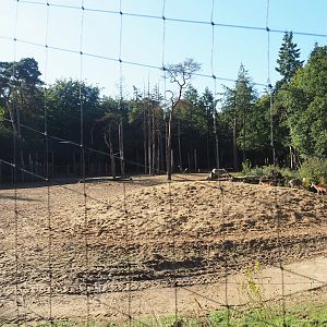 Savanna exhibit, 2023-09-24