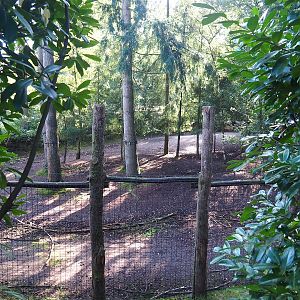 Forested section of the Savanna exhibit, 2023-09-24