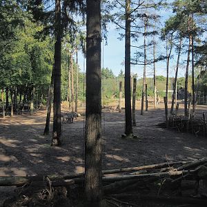 Savanna exhibit, 2023-09-24