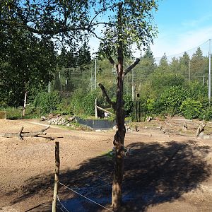 Savanna exhibit, 2023-09-24