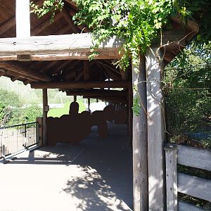 Savanna exhibit viewing area, 2023-09-24