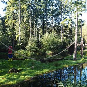 Ring-tailed lemur island, 2023-09-24