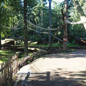 Ring-tailed lemur island walk-through section, 2023-09-24