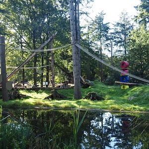 Ring-tailed lemur island, 2023-09-24