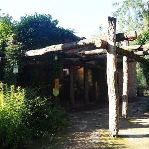 Ring-tailed lemur and Yellow-breasted capuchin house, 2023-09-24