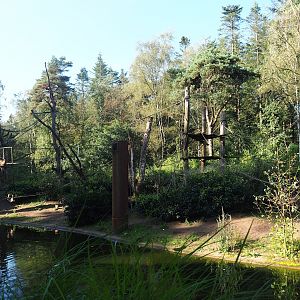 Yellow-breasted capuchin island, 2023-09-24