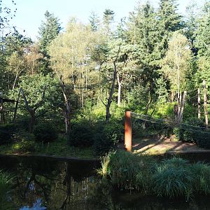 Yellow-breasted capuchin island, 2023-09-24