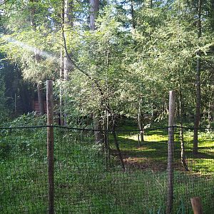 European white stork exhibit, 2023-09-24