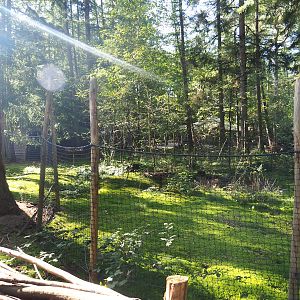 European white stork exhibit, 2023-09-24