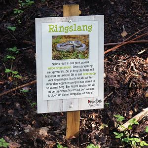 Sign about native barred grass snakes living on zoos grounds, 2023-09-24