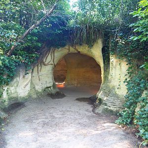 Badger sett visitor area, 2023-09-24