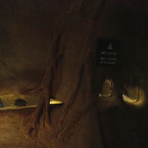 Badger sett, 2023-09-24