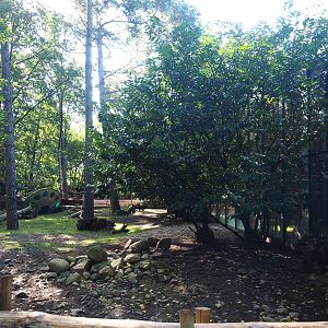 Aldabra giant tortoise outdoor paddock, 2023-09-24