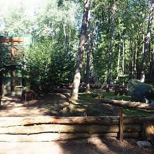 Aldabra giant tortoise outdoor paddock, 2023-09-24