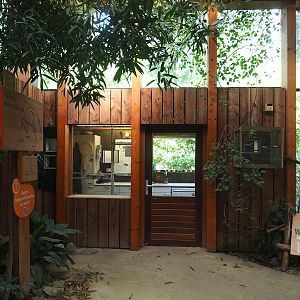 Bird area in Aldabra giant tortoise, 2023-09-24