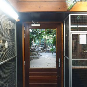 Bird holding aviaries in the Aldabra giant tortoise house, 2023-09-24
