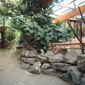 Aldabra giant tortoise house visitor area, 2023-09-24