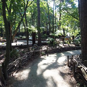 View in the Dino Forest, 2023-09-24